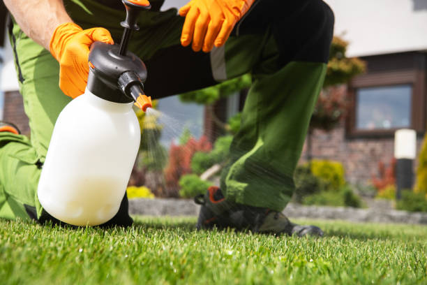 Trusted Kendallville, IN Pest Control Experts