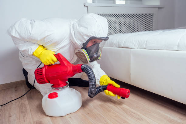 Best Termite Control Services  in Kendallville, IN