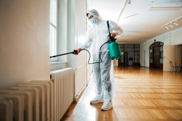 Best Local Pest Control Services  in Kendallville, IN