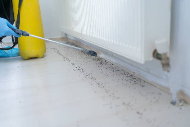 Wasp Removal Services in Kendallville, IN